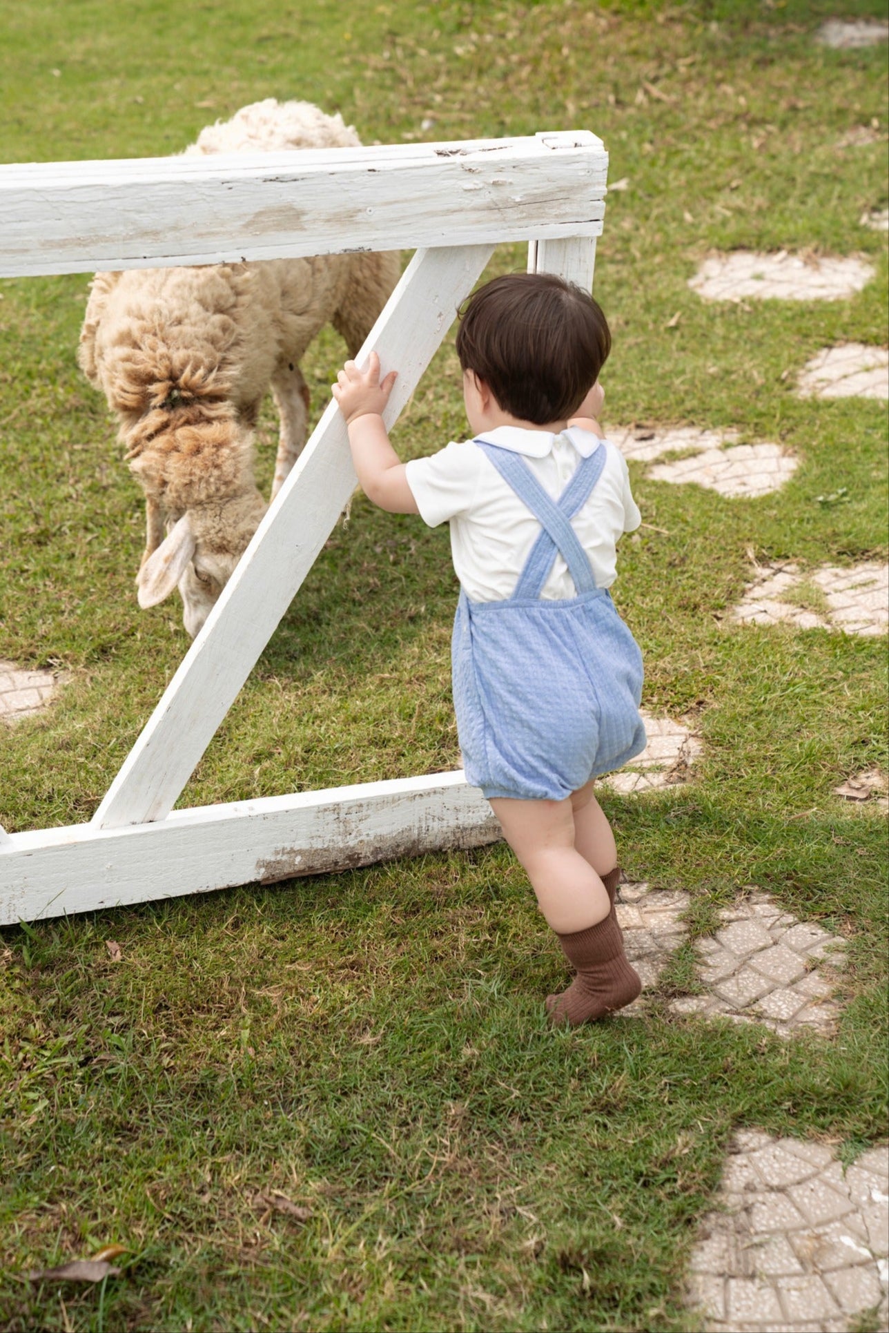 Little Explorer Dungaree Set